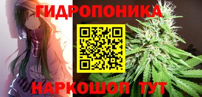 a pvp Обь