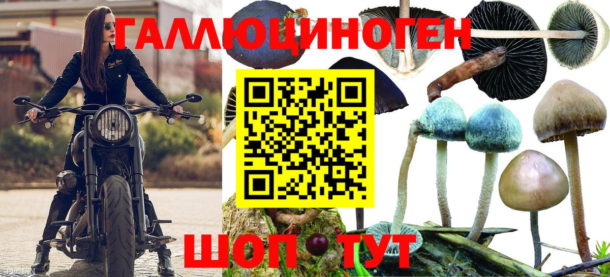 Псилоцибиновые грибы мицелий  Вход с VPN  Тимашёвск 